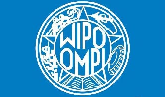 閻曉宏當選世界知識產(chǎn)權(quán)組織《視聽表演北京條約》首屆締約方會議主席 閻曉宏當選世界知識產(chǎn)權(quán)組織《視聽表演北京條約》首屆締約方會議主席
